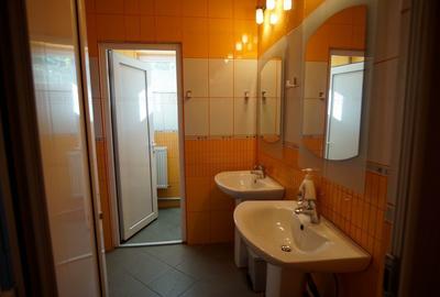 Casa de Inchiriat P+1, ideal firma/birouri - 12