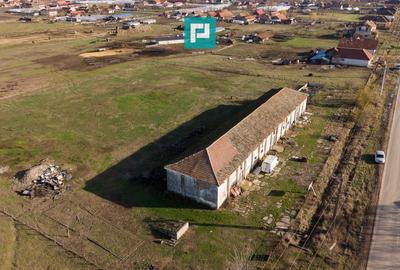 Hală industrială cu teren generos în Zărand, Arad - 43