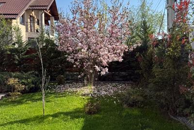 Vilă Superba în Chitila | Grădină 1.390 mp & Piscină | Direct Proprietar | Liber - 14