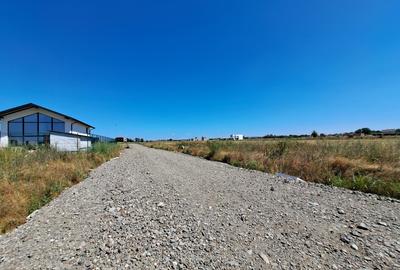 DIMIENI - ILFOV / STR. STRAJA / TEREN 1000 mp / 2000 mp - 11