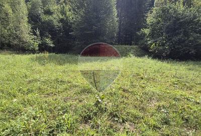 Teren de vis de 2.800 mp pe Valea Tărcăului – Cu lac natural și pădure - 2