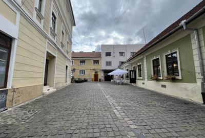 De vânzare apartament ultracentral - 12