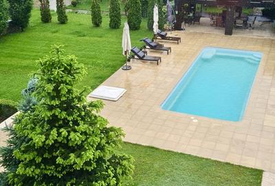 Domeniu Privat cu 3.278 mp Teren | Piscină, Iaz Ornamental și Reședință - 3