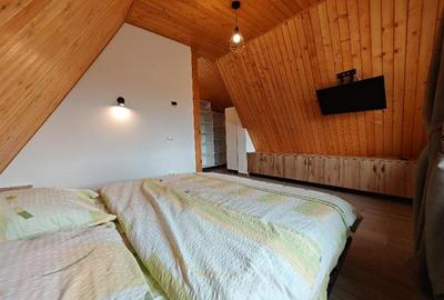 Inchiriem Casa Individuala, 3 Camere, Mobilata, Harman - 30