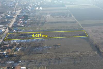 Teren 6.057 mp in Radulesti cu deschidere 30 metri la asfalt - 2