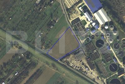 Teren Construcții intravilan de 8000 mp, în Titulescu