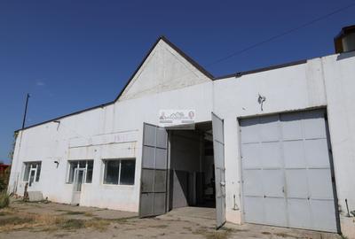Hală industrială 1.168 mp | Adjud | Producție • Service • Logistică - 8