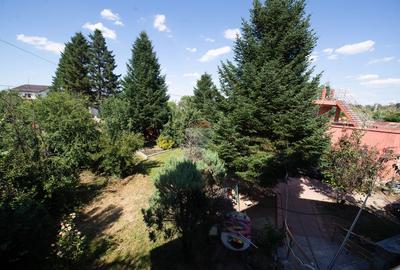 Casa de vanzare 9 camere potential investitie Cornetu teren 1200mp - 31