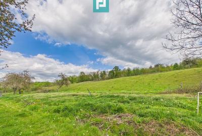 Casă cu teren de 17.681 mp, în loc. Hălmăgel, Arad - 14
