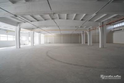 Modul hala 1238 mp cu ISU, zona industriala sud Turda - 2