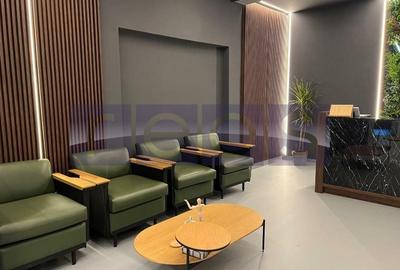 VANZARE VILA KISELEFF 365MP | CURTE 90MP | IDEAL INVESTITIE - 2