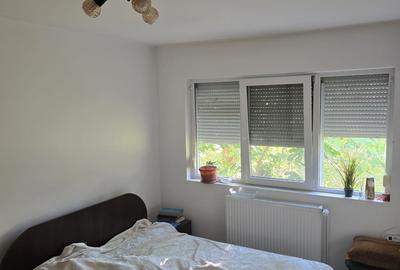 Apartament cu 3 camere, renovat, 65 mp-parter-zona Circumvalatiunii - 14