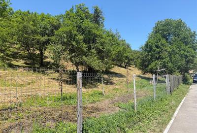 Teren Valea Doftanei, Tesila, utilitati la strada, padure in spate - 2