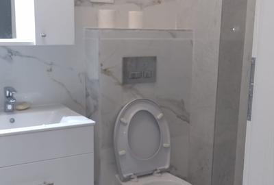 Berceni , Popesti Leordeni , Str Biruintei , 2 minute metrou - 11
