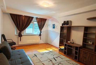 Apartament cu 2 camere decomandat, mobilat în Brazda lui Novac