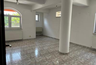 Vila Barbu Vacarescu Pescariu P+2+M de vanzare - 10