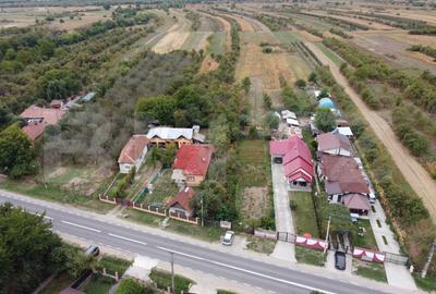 Teren Construcții intravilan de 3837 mp, în Gheboieni