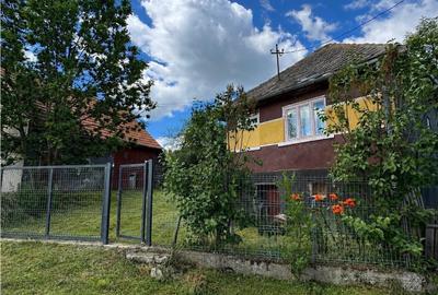 Casă individuală cu 4 camere în Dângău Mare