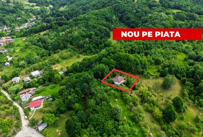 Proprietate de poveste în Corbi, Argeș - Doua case si 6300 mp teren intravilan - 1