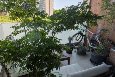 Apartament 3 camere - AFI CITY - Laminorului - Parcare - 14