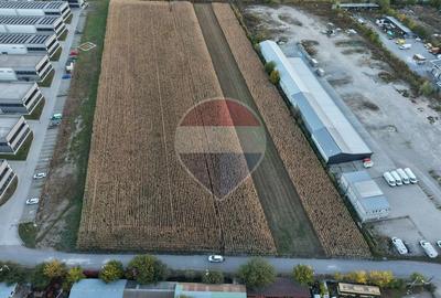 Teren intravilan 11.600 mp | Str. livezilor cu utilitati. - 1