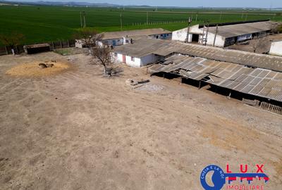 ID 7905 Oportunitate investiție agro-industrială - EXCLUSIVITATE - 8