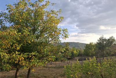 Teren spectaculos cu padure, livada si priveliste panoramica in Soimari PH - 15