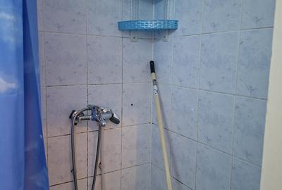Ap 1 cam, 21 mp, Pitesti, Prundu, Academica, etaj 2, renovat, mobilat 26000 euro - 8