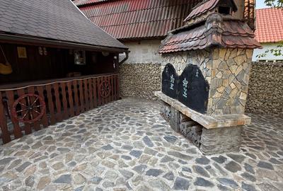 Proprietate de exceptie pe Transfagarasan,la poalele muntilor Fagaras - 19