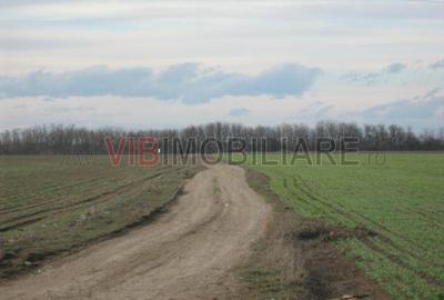 Teren cu dubla deschidere la Lac si Padure ,47  de loturi - 12