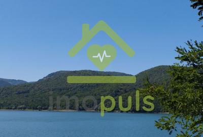 🗺️ Teren împădurit 20.720 mp (2,07 ha) – malul Lacului Cinciș ✨ - 2