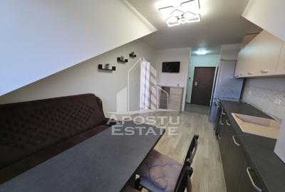 Apartament cu 2 camere de vanzare in zona Steaua, Timisoara - 4