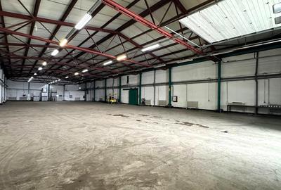 Hala 850mp zona industriala Vest - 1