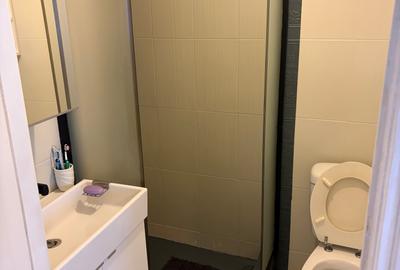 Cotroceni- Frederic Joliot Curie, apartament 3 camere, 112 mp totali, in vila, - 11