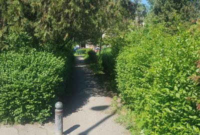 Teren intravilan 719 m.p Timisoara, Bv. Take Ionescu 59 - 5
