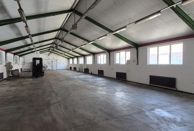 Hala productie /depozitare+ birouri -580 mp - 10