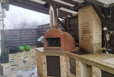 Proprietate deosebită Făget - 2