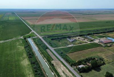 Fermă vegetală 148 ha și sediu fermă Mãicãnești ! - 1