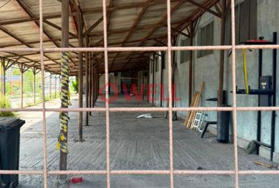 SPAȚIU INDUSTRIAL DE ÎNCHIRIAT – TG.MUREȘ - 4