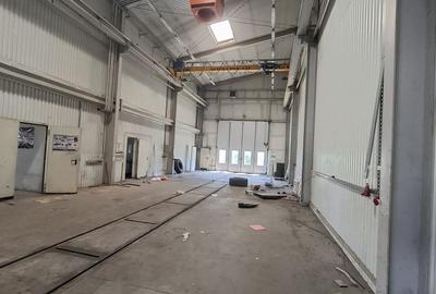 Distribuție /productie 3800 mp -constructie /14.000 mp curte. - 5