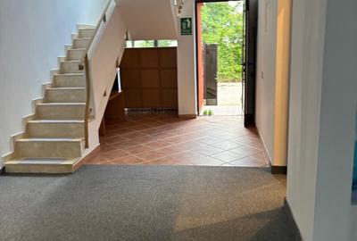 VILĂ INDIVIDUALA AMENAJATĂ INTERIOR ȘI EXTERIOR – IDEALĂ PENTRU GRĂDINIȚĂ, CREȘĂ - 7