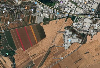 Teren agricol intravilan de 160000 mp, în Ciorogârla