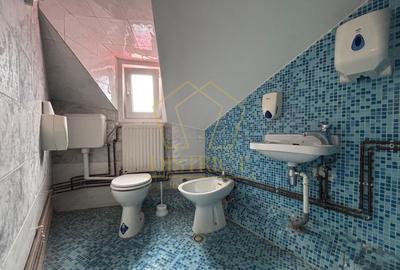 Spatiu pentru birouri | Sagului - 10