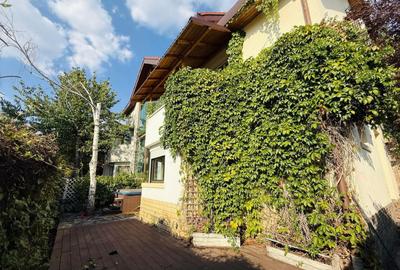 Vanzare Vila  Iancu de Nicolaie - 8