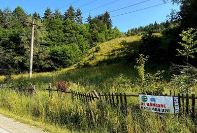 Teren extravilan de vânzare – Șinca Nouă, Brașov | 10.290 mp - 7