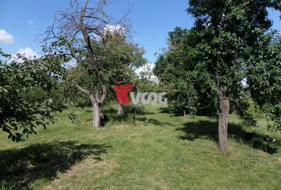 Teren intravilan | 2.810 mp|18ml|Zona Fratelia| - 15