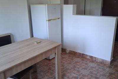 Apartament 2 camere mobilat ,utilat,aer conditionat confort 1 decomandat,liber - 22