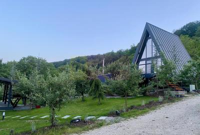 Cabane A frame + Teren 6000 mp |  Proprietate deosebita, NOU - 37