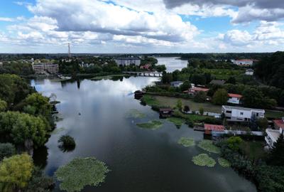 Vila în Snagov cu ieșire la lac/ponton si zona de relaxare - 3