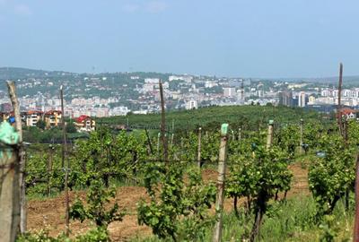 Teren de vanzare,  la 1,3km de LIDL Bucium, vecinatate cartier Panoramic - 4